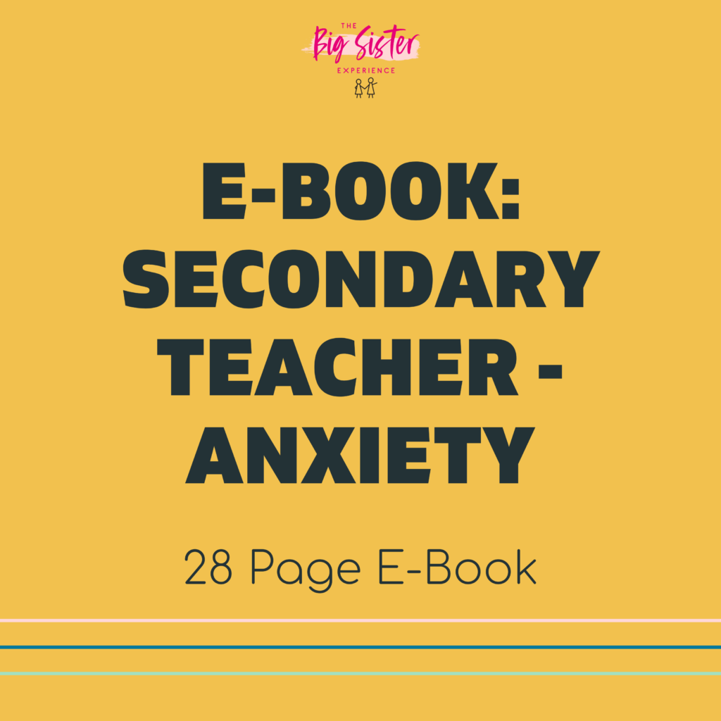 Secondary Teacher Anxiety E-Book